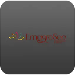 agencia-bertini-emagresee.webp